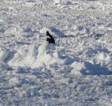 184353_2.jpg  : 76 KB