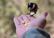 184356_1.jpg  : 28 KB