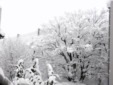 184366_1.jpg  : 156 KB