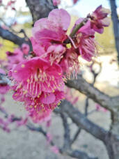 184368_1.jpg  : 143 KB