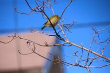 184371_2.jpg  : 88 KB