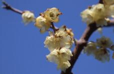 184404_1.jpg  : 18 KB