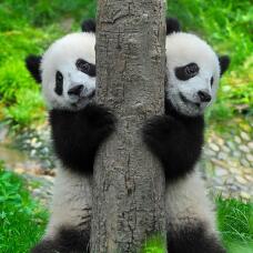 184414_1.jpg  : 122 KB