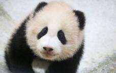 184414_3.jpg  : 40 KB