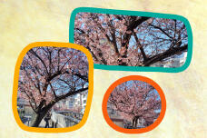 184415_1.jpg  : 316 KB