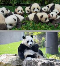 184436_1.jpg  : 115 KB