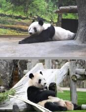 184436_2.jpg  : 140 KB