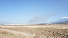 184437_1.jpg  : 131 KB