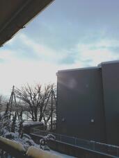 184441_1.jpg  : 48 KB