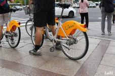 184446_10.jpg  : 85 KB