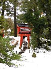 184455_2.jpg  : 110 KB