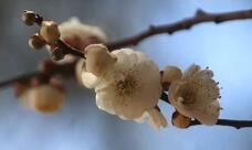 184479_1.jpg  : 26 KB