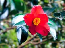 184480_1.jpg  : 57 KB