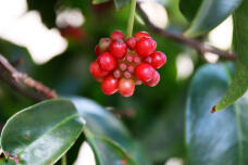 184494_3.jpg  : 49 KB