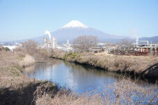 184498_1.jpg  : 229 KB