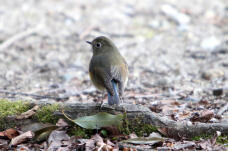 184512_3.jpg  : 77 KB