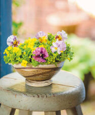 184514_1.jpg  : 74 KB