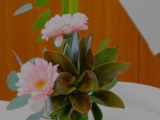 184530_1.jpg  : 56 KB