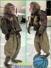 184537_3.jpg  : 79 KB