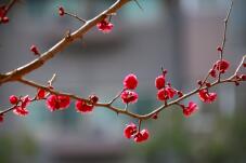 184545_2.jpg  : 82 KB