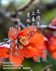 184548_1.jpg  : 200 KB