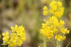 184557_5.jpg  : 107 KB