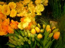 184572_1.jpg  : 125 KB