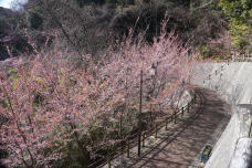 184574_1.jpg  : 426 KB