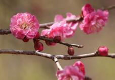 184585_1.jpg  : 28 KB