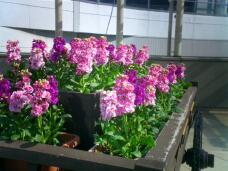 184588_1.jpg  : 128 KB