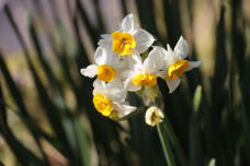 184602_1.jpg  : 45 KB