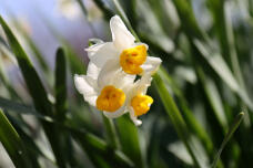 184602_2.jpg  : 46 KB