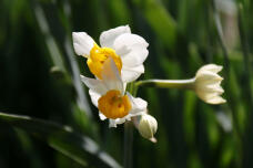 184602_3.jpg  : 37 KB