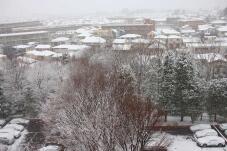 184604_1.jpg  : 89 KB