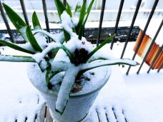 184605_1.jpg  : 84 KB