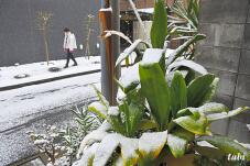 184614_4.jpg  : 91 KB