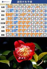 184617_2.jpg  : 200 KB