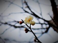 184621_1.jpg  : 37 KB