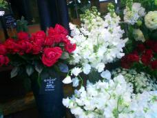 184624_1.jpg  : 122 KB