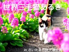 184628_1.jpg  : 192 KB