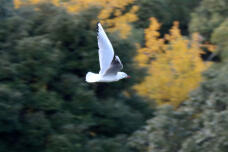 184635_1.jpg  : 43 KB