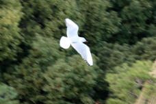 184635_2.jpg  : 58 KB