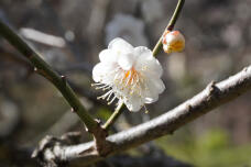 184652_1.jpg  : 102 KB