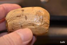 184666_6.jpg  : 33 KB