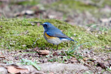 184675_3.jpg  : 101 KB