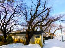 184692_1.jpg  : 222 KB