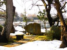 184692_2.jpg  : 187 KB