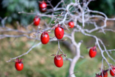 184704_2.jpg  : 55 KB