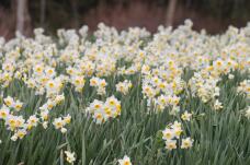 184711_2.jpg  : 209 KB