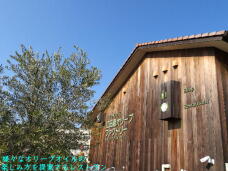 184719_1.jpg  : 75 KB